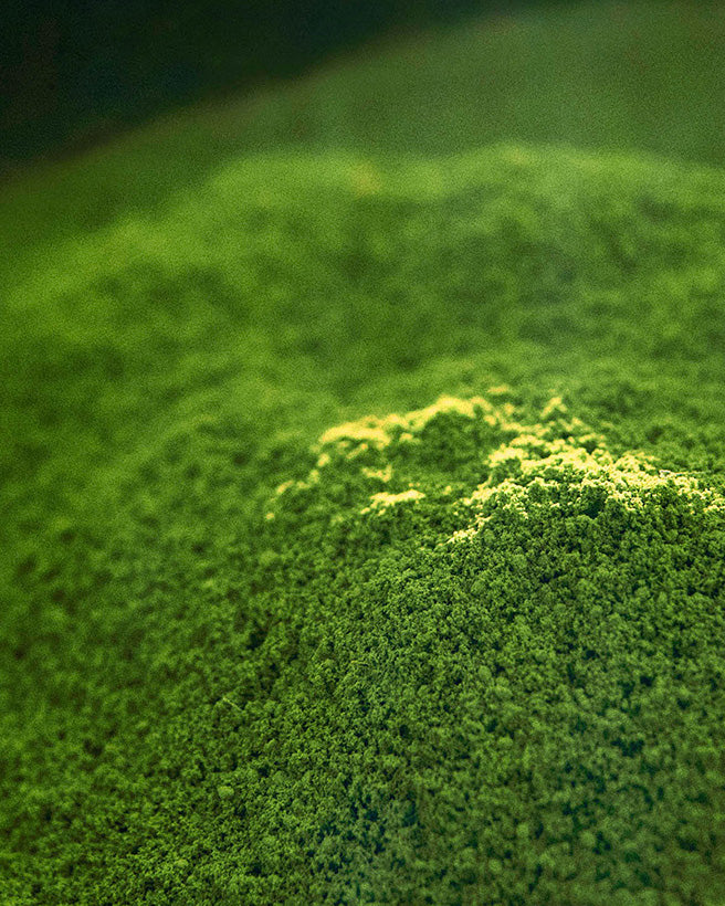 Fujisancha 1kg